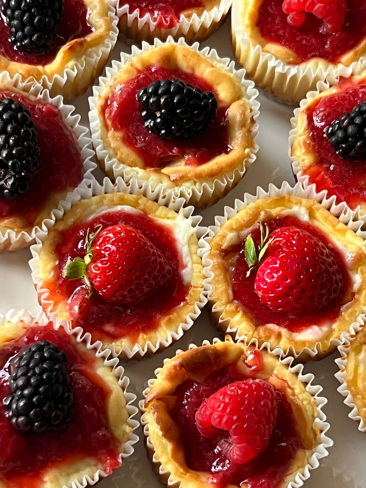 Mini Fruit Cheesecakes (6 pack)