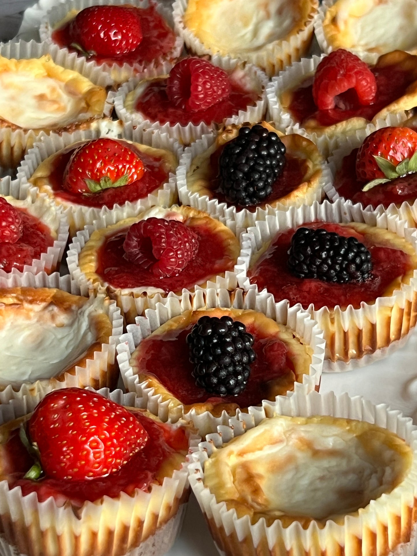 Mini Fruit Cheesecakes (6 pack)