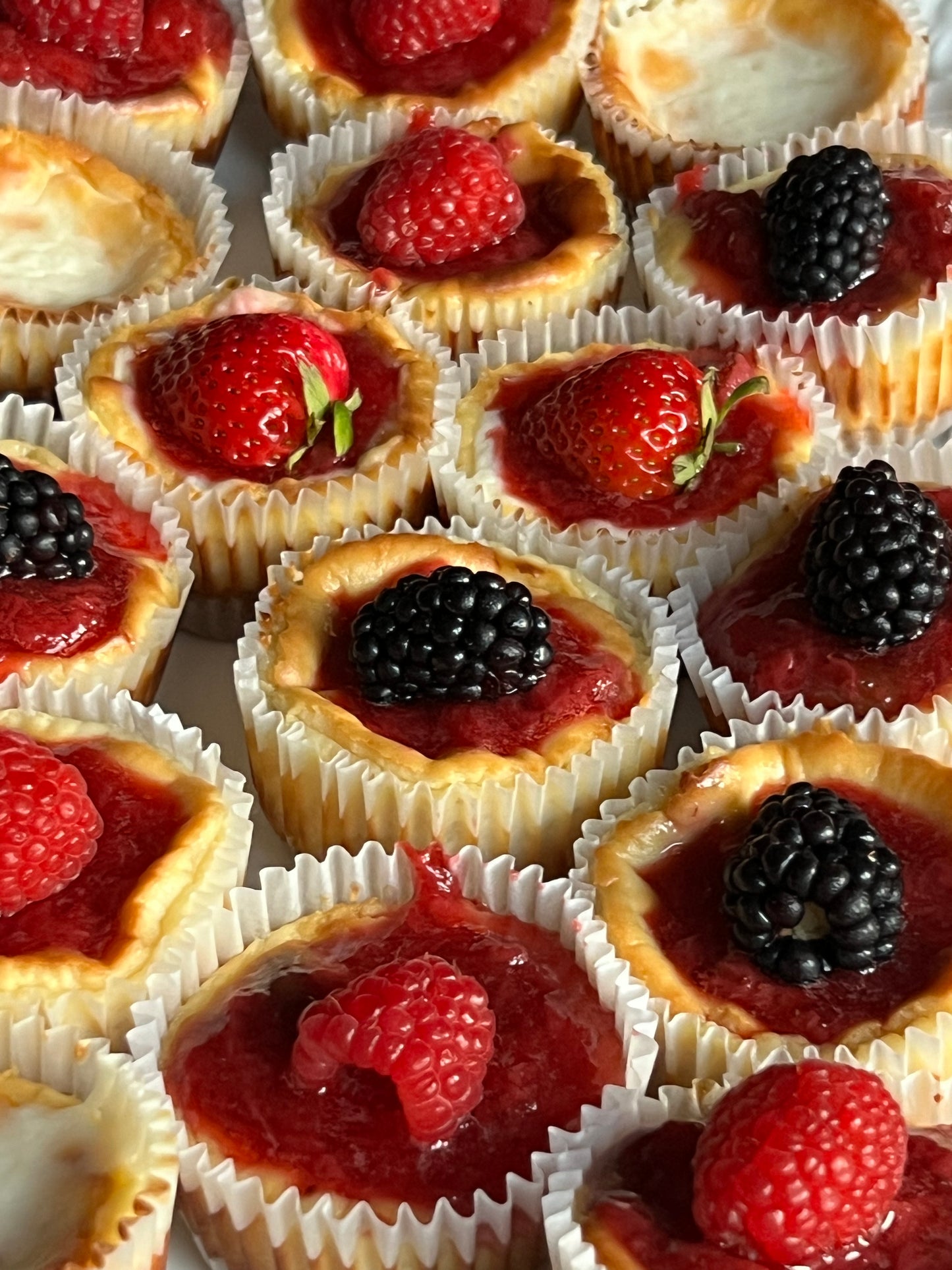 Mini Fruit Cheesecakes (6 pack)